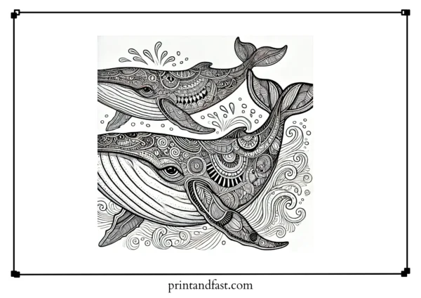 Challenging whale coloring page 2