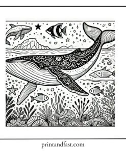 Educational whale coloring page 1