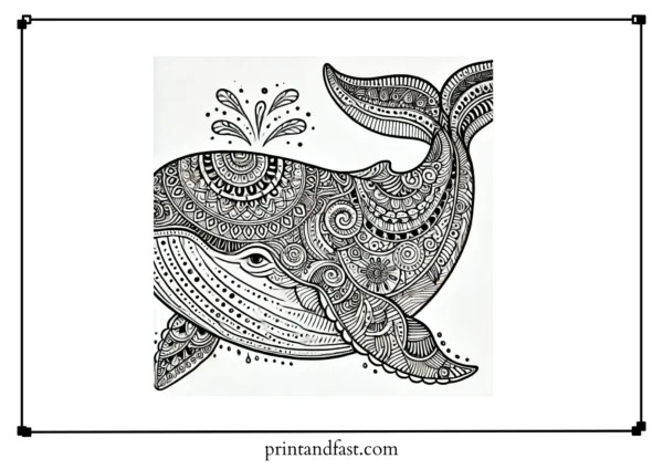 Intricate whale coloring page 2 1