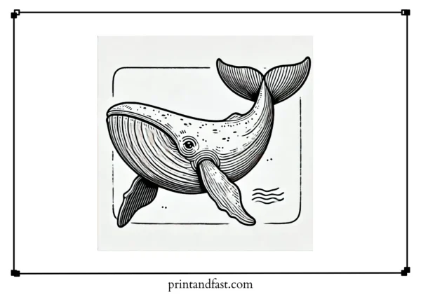 Large whale coloring page 2 2