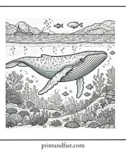 Underwater whale coloring page 1