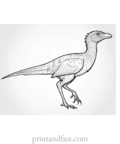 dinosaur coloring page archaeopteryx