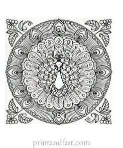 mandala coloring page peacock