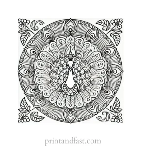 mandala coloring page peacock