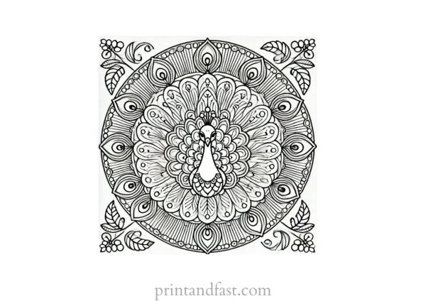 mandala coloring page peacock