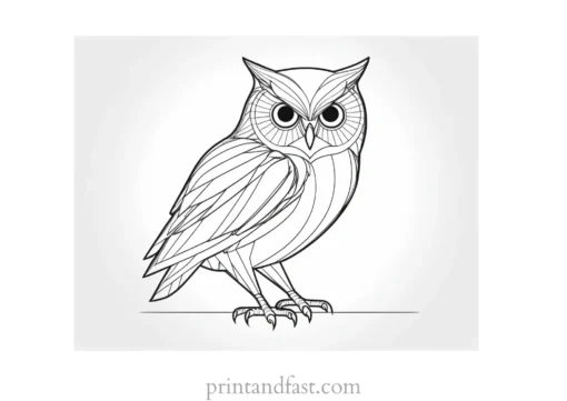 3D owl coloring page