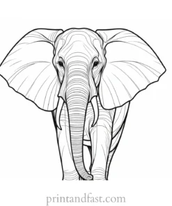 abstract elephant coloring page