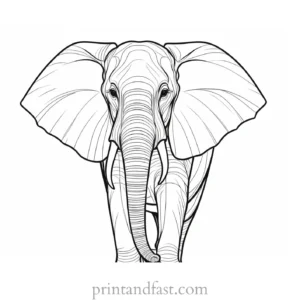 abstract elephant coloring page