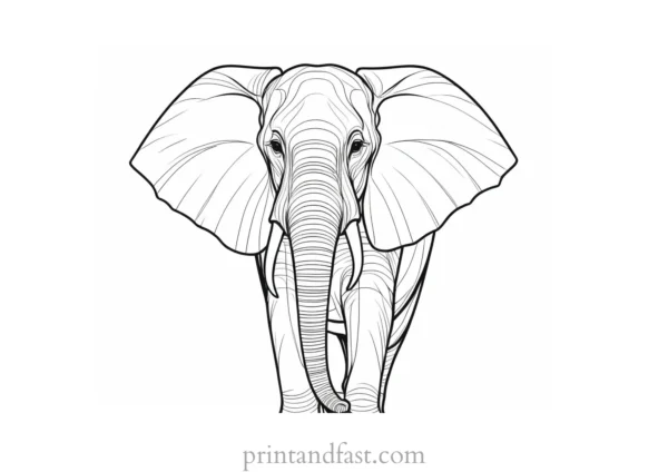 abstract elephant coloring page