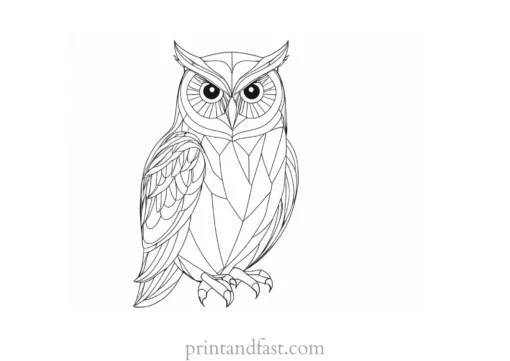 abstract owl coloring page