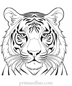 abstract tiger coloring page