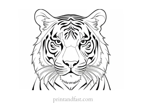 abstract tiger coloring page