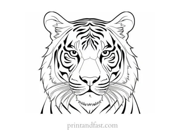 abstract tiger coloring page