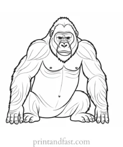 adorable Gorilla Coloring Page