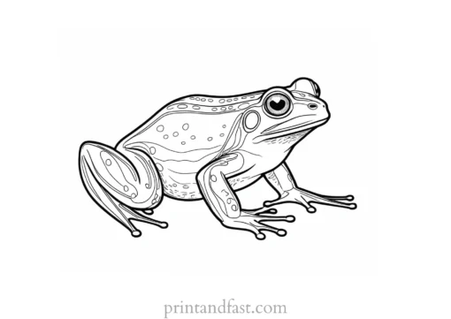 adult frog coloring page