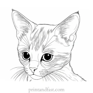 advanced kitten coloring page