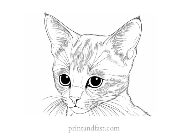 advanced kitten coloring page