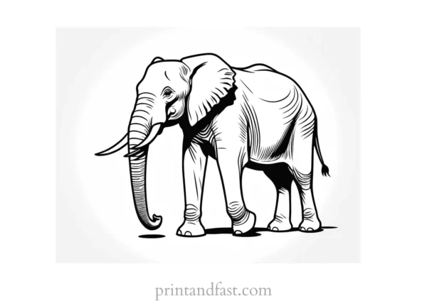 african elephant coloring page