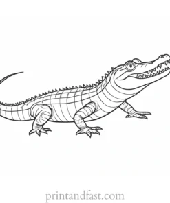 alligator coloring page activity