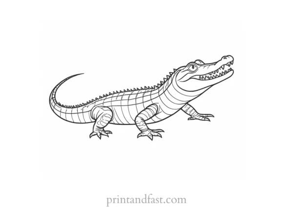 alligator coloring page activity