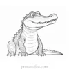 alligator coloring page cute