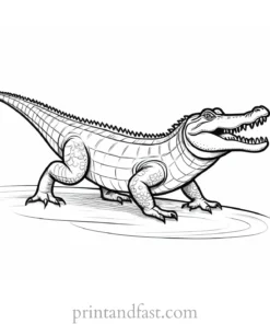 alligator coloring page easy