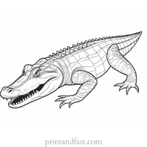 alligator coloring page educational