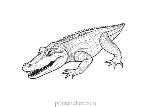 alligator coloring page educational