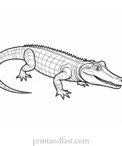 alligator coloring page for kids