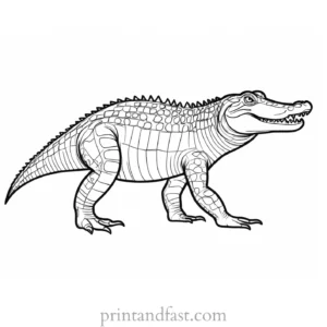 alligator coloring page fun