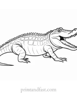 alligator coloring page gator