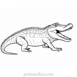 alligator coloring page gator