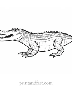 alligator coloring page jungle