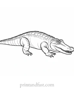 alligator coloring page outline