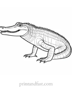 alligator coloring page preschool