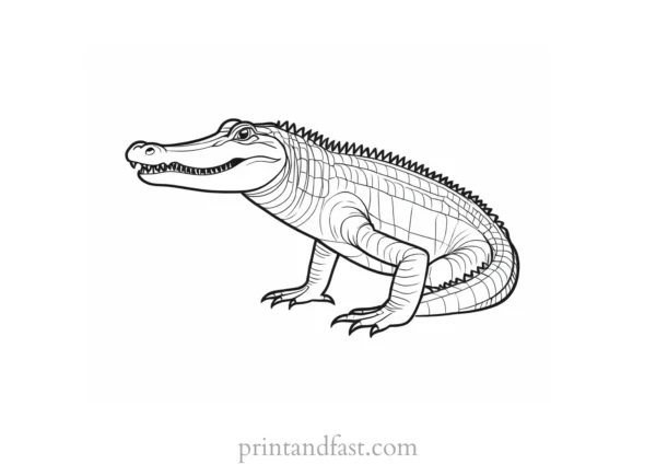 alligator coloring page preschool