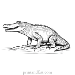 alligator coloring page realistic