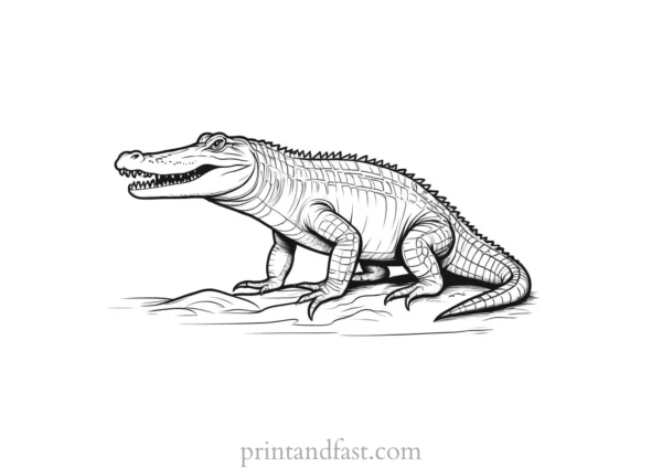 alligator coloring page realistic