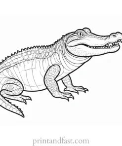 alligator coloring page reptile