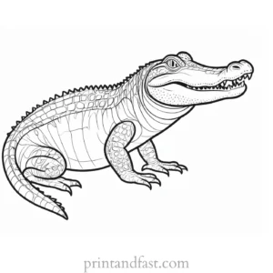 alligator coloring page reptile