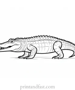 alligator coloring page simple