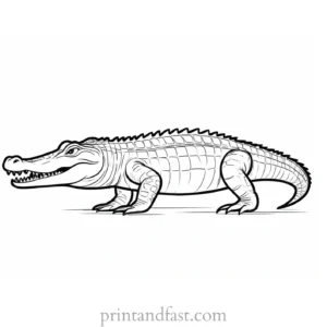 alligator coloring page simple