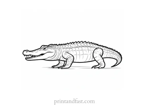 alligator coloring page simple