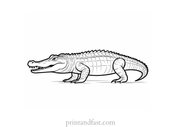 alligator coloring page simple