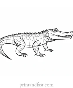 alligator coloring page template