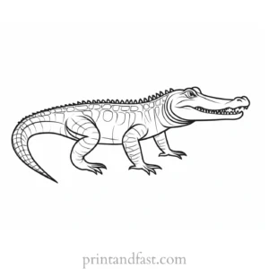 alligator coloring page template