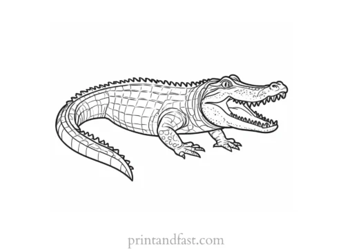 alligator coloring page theme