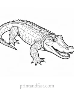 alligator coloring page toddler