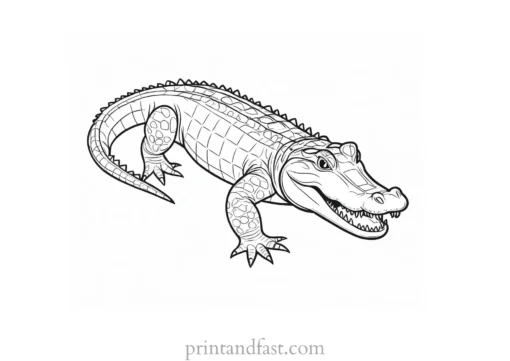 alligator coloring page toddler