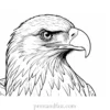 american eagle coloring page